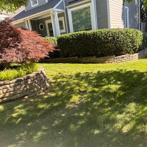 Bush Trimming by Super Mario Cutz reviewed on August 16, 2024