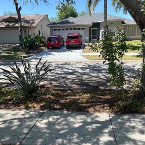 Leaf Removal by ClearCoast Lawn Solutions reviewed on October 31, 2022