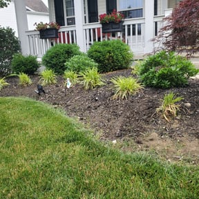 Flower Bed Weeding by Ike’s Lawn & Yard Services reviewed on July 12, 2025