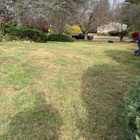 Leaf Removal by TorresLawnservice reviewed on June 2, 2022