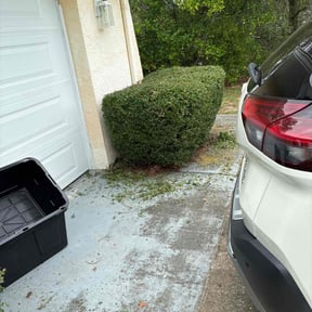 Bush Trimming by Ethan lawn care reviewed on November 27, 2022