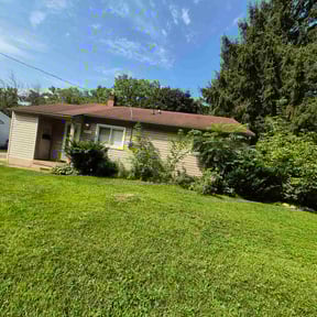 Cleanups by LSLTDallas/FortWorthTruGreen reviewed on June 12, 2025