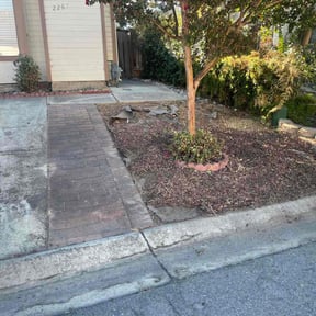 Bush Trimming by Manny los Lawn Care Services reviewed on December 10, 2024