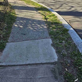 Leaf Removal by Green landscaping LLc reviewed on June 2, 2022