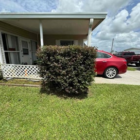 Bush Trimming by VERTEXX reviewed on July 1, 2022