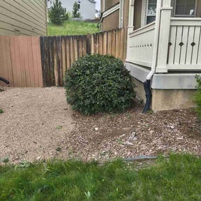 Bush Trimming by LSLTDallas/FortWorthTruGreen reviewed on May 17, 2025