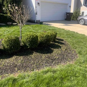 Bush Trimming by K’S Up landscaping reviewed on October 20, 2022