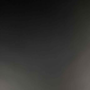 Bush Trimming by Young's Lawn Care Services reviewed on June 19, 2025