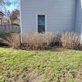 Bush Trimming by Gregg's Lawn Care reviewed on November 9, 2024