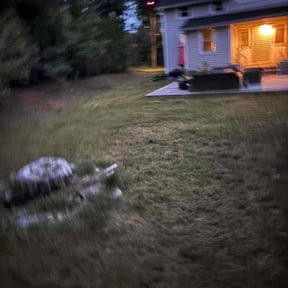 Cleanups by Greg's Landscaping reviewed on March 25, 2022