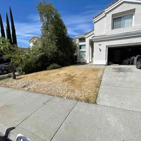 Leaf Removal by C n C Services reviewed on June 8, 2022