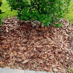 Flower Bed Weeding by JDAA Lawn Care Service reviewed on September 7, 2024