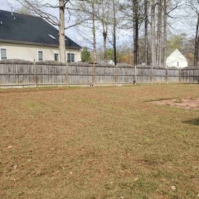 Leaf Removal by Yanez Brothers Landscaping reviewed on September 28, 2020
