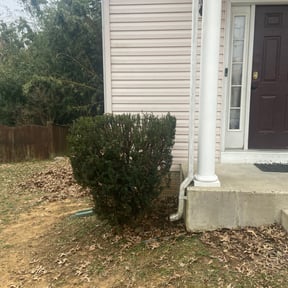 Bush Trimming by Green Looks reviewed on May 28, 2022