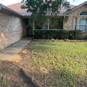 Bush Trimming by LSLTDallas/FortWorthTruGreen reviewed on September 10, 2024