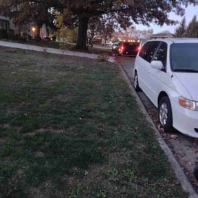 Leaf Removal by Penneys landscape reviewed on May 25, 2022