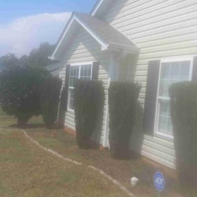 Bush Trimming by R&M lawncare reviewed on September 9, 2021