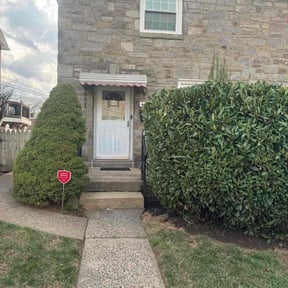 Bush Trimming by Superior Cleaning reviewed on May 7, 2022