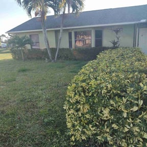 Bush Trimming by Round the world lawn care reviewed on December 8, 2024