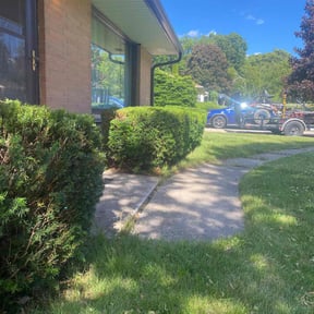 Bush Trimming by Blossom Lawn Care reviewed on May 26, 2025