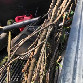 Cleanups by Coastal Lawnworx LLC reviewed on December 21, 2021