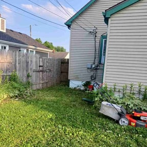 Bush Trimming by Cutter J’s Lawn Service reviewed on October 1, 2020