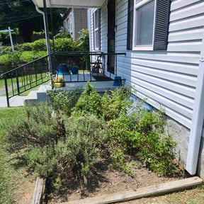 Flower Bed Weeding by Moreno landscaping reviewed on May 28, 2022