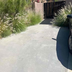 Leaf Removal by Father and son handyman reviewed on August 13, 2021