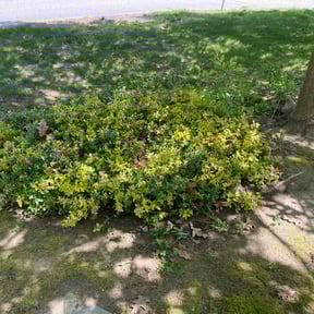 Cleanups by BnB So. Cal reviewed on April 11, 2022
