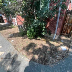 Cleanups by Life Source Lawn Care and Property Services reviewed on July 8, 2022