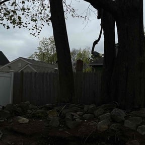 Leaf Removal by Nextdoor Lawn Services LLC reviewed on July 20, 2022