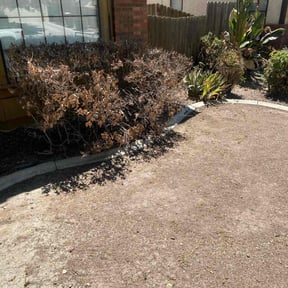 Weeding by Guillen Lawn Care reviewed on March 25, 2025