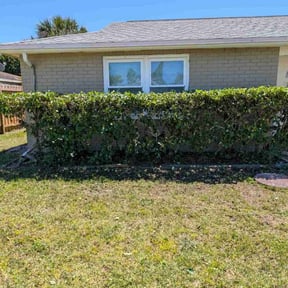 Bush Trimming by Tegrity pro moving and morr reviewed on October 5, 2022