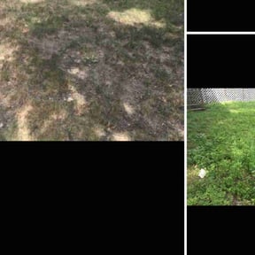 Leaf Removal by Lawncare By the beach reviewed on May 26, 2022