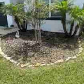 Weeding by New world order llc (Four seasons Lawn Care N More) reviewed on July 12, 2022
