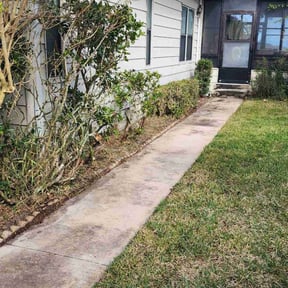 Bush Trimming by Quality cuts lawn and landscaping reviewed on January 14, 2025