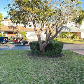 Leaf Removal by Thayer's Property Maintenance reviewed on July 31, 2020