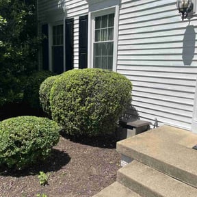 Bush Trimming by DT Property Preservation reviewed on August 5, 2021