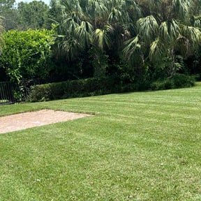 Bush Trimming by Nate's Scapes reviewed on June 22, 2022