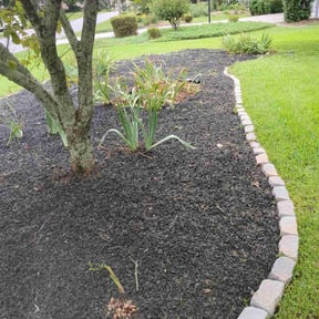 Cleanups by LSLTDallas/FortWorthTruGreen reviewed on February 8, 2024