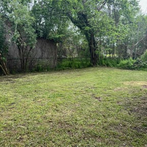 Bush Trimming by Richard's Lawn Care reviewed on May 5, 2025