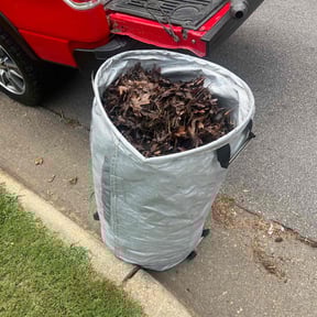 Leaf Removal by Gold Quality Lawn Care Service reviewed on February 15, 2025