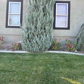 Weeding by Universal lawnscaping reviewed on July 19, 2022