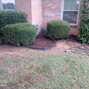 Mulching by Succes Construction & Lawn Care reviewed on July 5, 2022