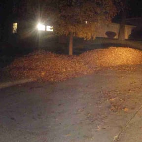 Leaf Removal by Finns landscaping reviewed on November 18, 2024
