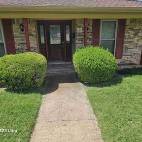 Bush Trimming by Campos lawn care reviewed on June 8, 2022