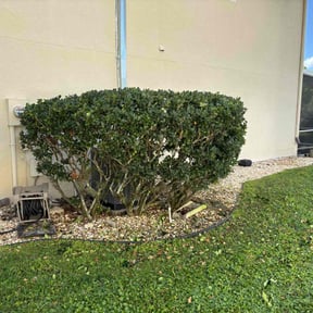 Bush Trimming by Right Lawn Care reviewed on May 24, 2022