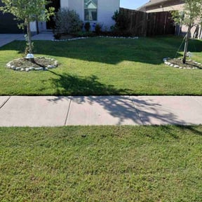 Flower Bed Weeding by Luna Landscaping reviewed on July 27, 2022