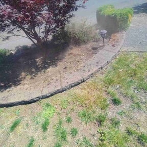 Weed Pulling by Washington lawncare and landscaping llc reviewed on July 19, 2022