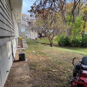 Leaf Removal by Nicks tree removal reviewed on October 28, 2024